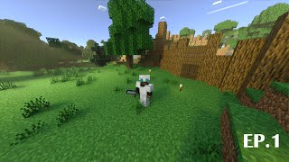 Minecraft Let's Play: Episode 1 New Beginnings