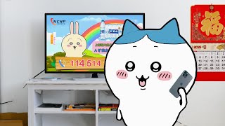 [吉伊卡哇] 小八參加電視答題