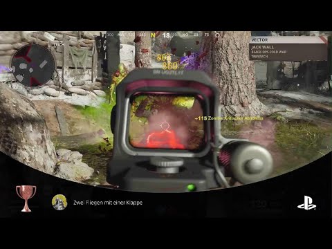 Call of Duty®: Black Ops Cold War zwei fliegen mit einer klappe