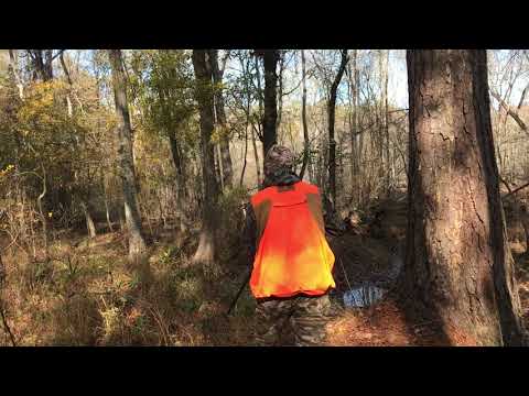 Rabbit Hunting Georgia