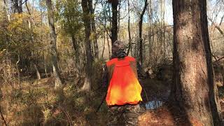 Rabbit hunting 19/20 season Georgia