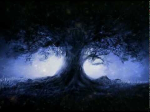 Collinsia Verna - Ode to Earth part 2