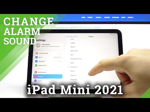 All Classic Reminder Alerts on iPad Mini (2021) - Reminder Sounds Checkup