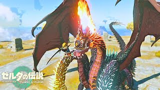 スタイリッシュな戦闘技でキンググリオーク討伐！【ゼルダの伝説 ティアーズ オブ ザ キングダム】