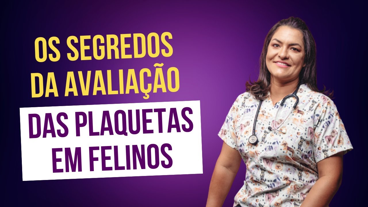 Os segredos da avaliação das plaquetas em felinos