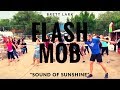Awesome Flashmob Sound Of Sunshine Brett Lark 2014
