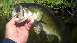 preview picture of video 'Bass Fishing in three locations'
