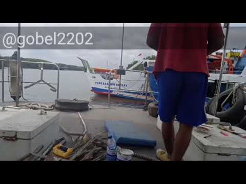 Belum selesai (lirik) lagu Pay, Bongki dan Aray