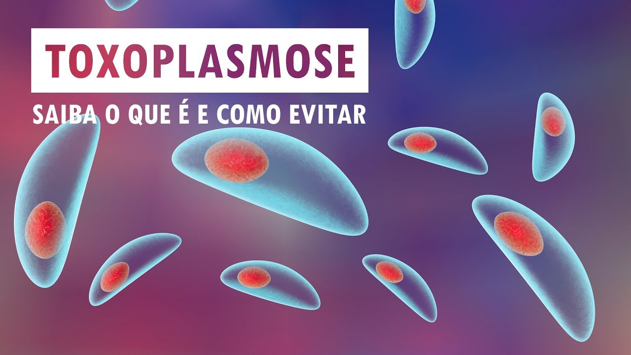 Toxoplasmose - saiba o que é e como evitar | Sua Saúde na Rede