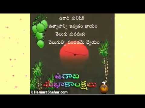 Nagarjuna,s birthday celebration