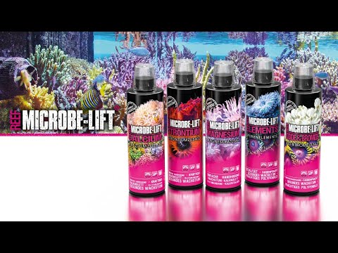 The ideal trace element supply for your corals - MICROBE-LIFT elements for Marine Aquariums.