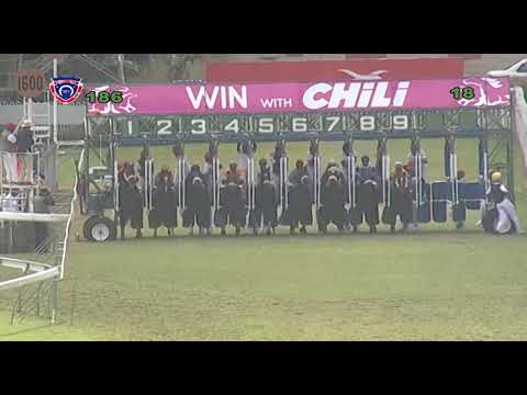 RM18 R6 - Perplexing | S.Rama