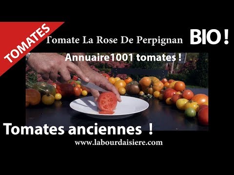 Tomate.4.Bio.Nature.Jardin.La rose de Perpignan.Vive les Fruits et legumes !Hurryken Production Video