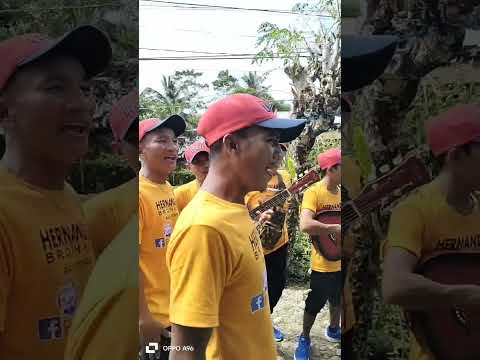 Daytoy nga balay by Hernandez Brothers#viral carollers#ilocano #Christmas song#singing#music