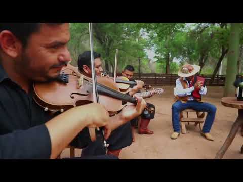 IDENTIDAD - NEGRO PALMA VIDEO OFICIAL 2022