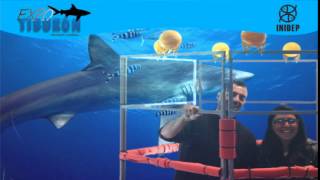 DIA 2 Expo Tiburon315