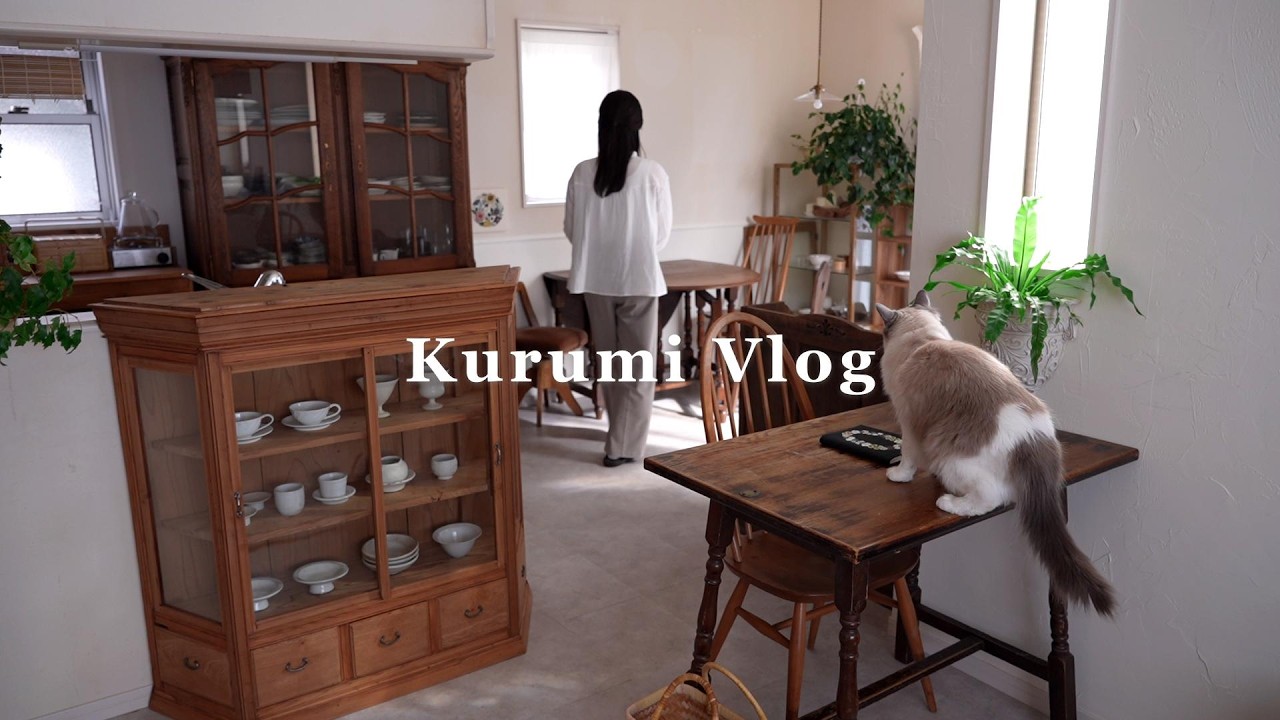 春の模様替え🌷かわいい家具で家を整える｜家具紹介と和食ランチ｜家庭菜園の収穫と刺繍｜主婦vlog