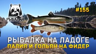 Ссылка