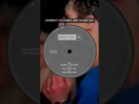 UNDERRATED HOUSE TRACKS PT. 16 🔥 Lovebirds Ft. Stee Downes - Want You In My Soul
