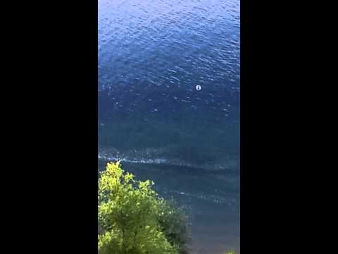 UFO diving into water!!!