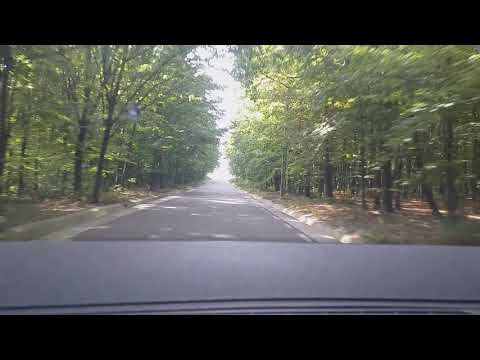 Road trip vlog 05. Drumul comunal 133, Homita- Motca.