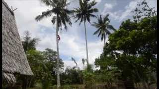 preview picture of video 'Indonesië 2013 - Sulawesi & Bali'