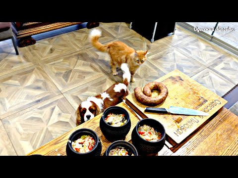 Latte, panna acida, fegato / Una deliziosa ricetta per il fegato di pollo in vaso