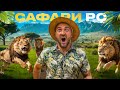 Фукуок САФАРИ Винперл 2025