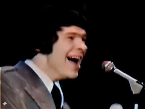 The Fortunes - You've Got Your Troubles (1966)