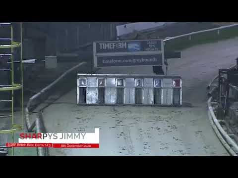 Sharpys Jimmy - BGBF British Bred Derby Semi Final 3