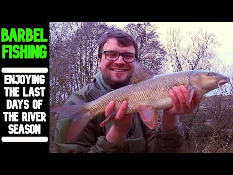 BARBEL FISHING| success on my penultimate river session of the season!