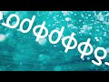 Google Translate Funny Moments