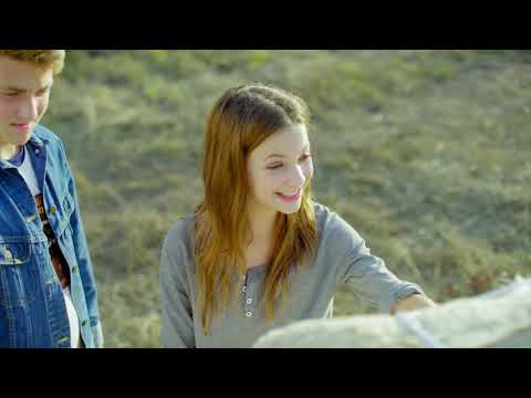Трейлеры Пегас