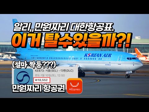 알리에서 항공권 구매 후기: 대한항공을 단돈 만원에?