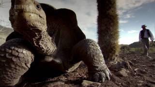 BBC GALAPAGOS Episode 2 Islands that Changed the World HD 720p PART 5