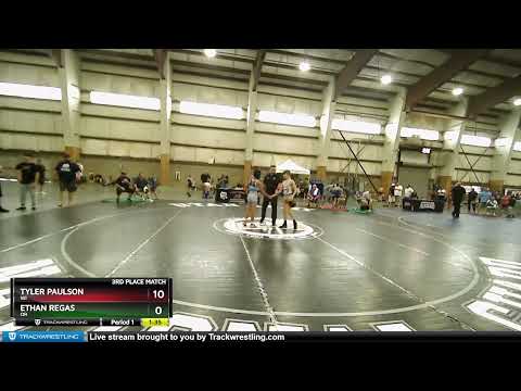 98 Lbs 3rd Place Match - Tyler Paulson, WI Vs Ethan Regas, OR 84a8