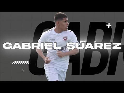 Gabriel Suarez '26 Soccer Highlights | Cedar Stars North 08 NAL & JVSA U17 UPSL 