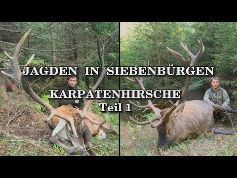 Jagden in Siebenbürgen - Karpatenhirsche Teil 1 - Trailer