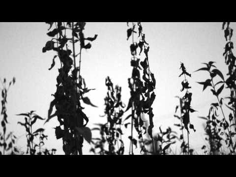 Tam Rosną Wilcze Jagody