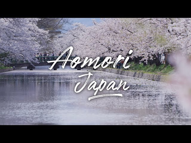 Aomori Scenery of Spring Japan 4K (Ultra HD) - 青森