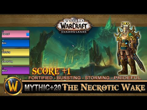 The Necrotic Wake Mythic 20 Fortified Bursting Storming Prideful Prot Paladin Shadowlands
