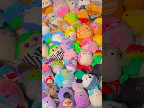 You BETTER not MESS WITH my GANG 🤨#squishmallows #fun #trend #tiktok #collection #satisfying #cute