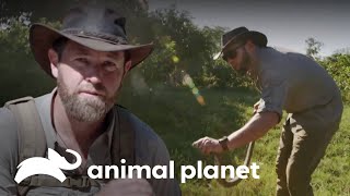 Thumbnail del capítulo