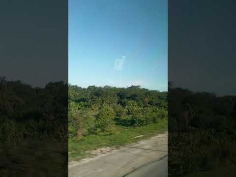 Clorinda Formosa Argentina 2025 muy lindo