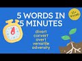 5 Words in 5 Minutes: Vert Words