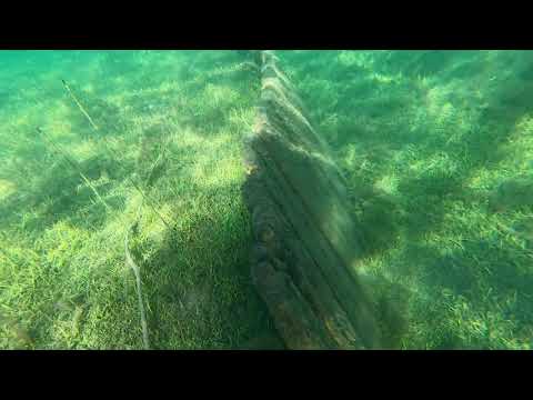 The Underwater show ep 3: Lutvann