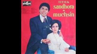 Download lagu Titiek Sandhora Muchsin Pesta Di Bulan... mp3