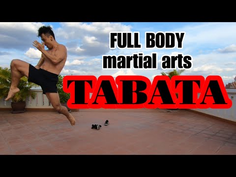 (Level 2) 4minute Martial Arts inspired TABATA