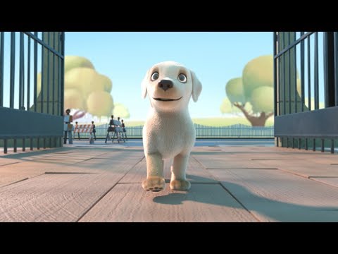 Pip | An Animated Film [Audio Description Included] Video