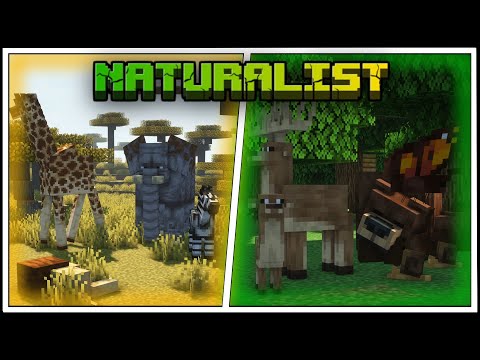 AN AWESOME WILDLIFE MOD - Naturalist Full Showcase (Forge & Fabric)